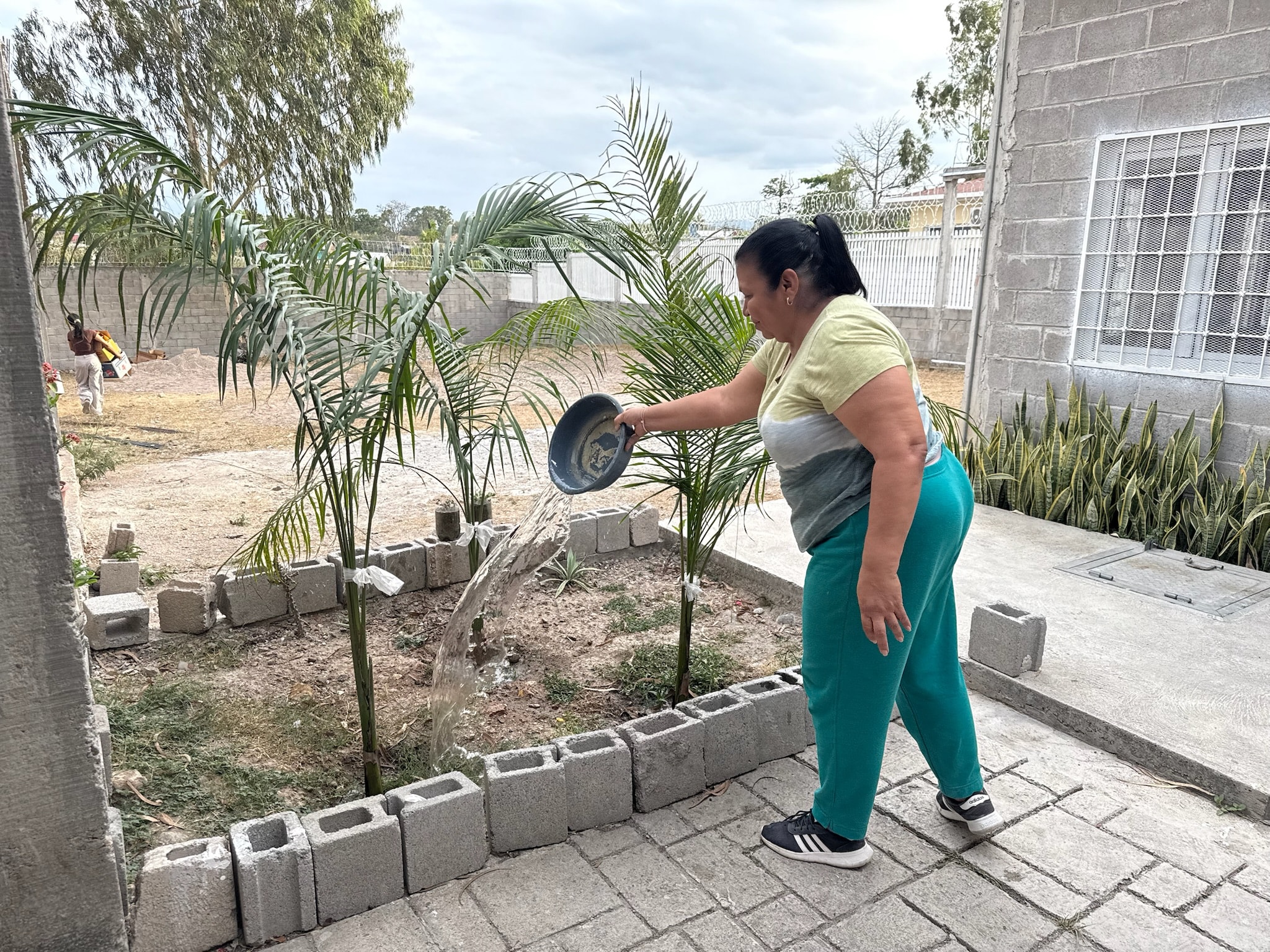 Woman watering palm plants in a garden